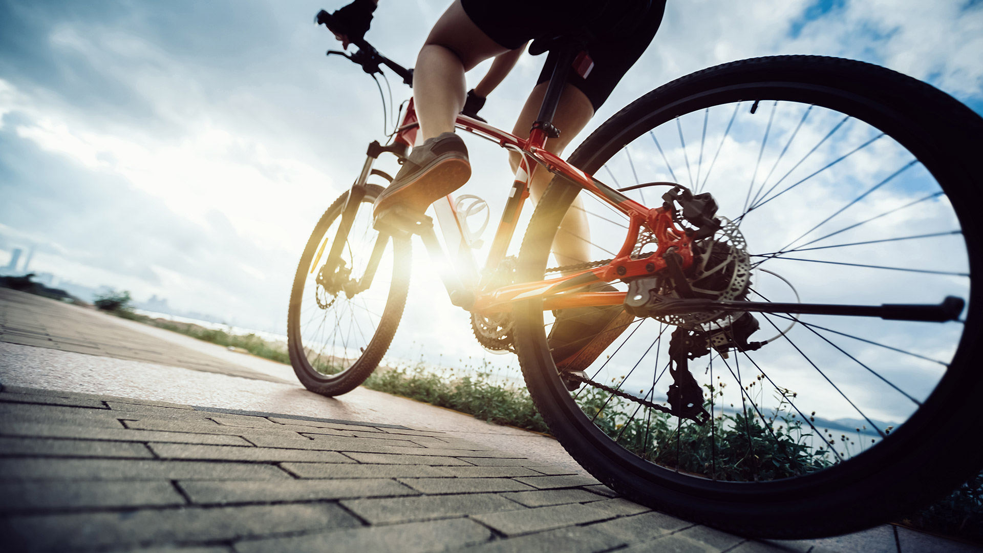 Ciclismo: saiba o que acontece com seu corpo quanto pratica a atividade