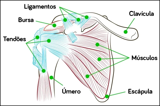 Dor no ombro: 8 principais causas e como tratar