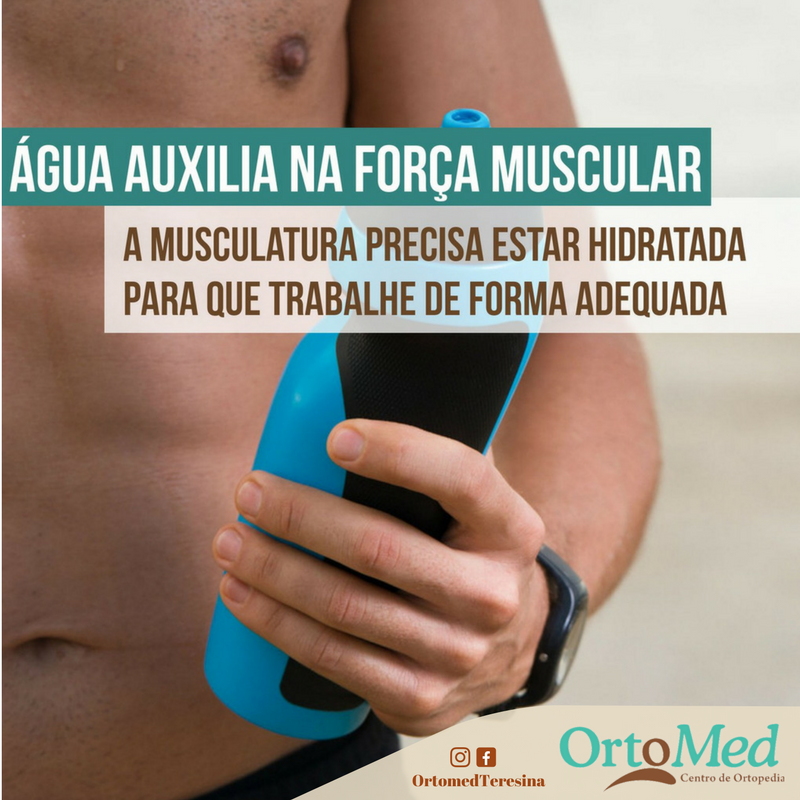Você sabe da importância da água para os músculos?