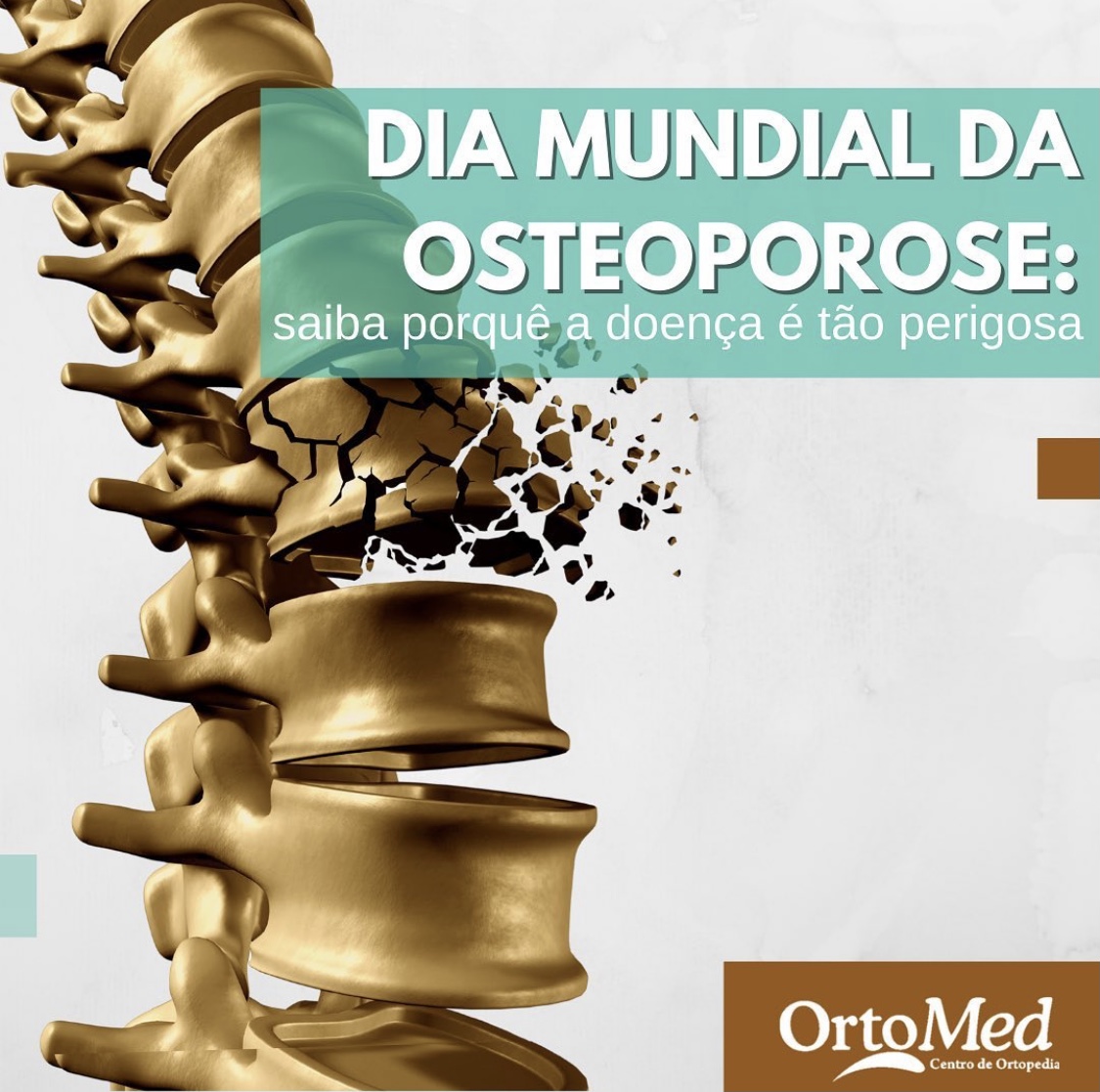 Osteoporose já atinge 10 milhões de brasileiros